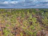 63.20 ac County Road 15 - Photo 37