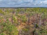 63.20 ac County Road 15 - Photo 38