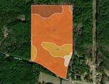 63.20 ac County Road 15 - Photo 7