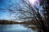lot62 Highland Circle - Photo 23