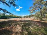 501 Hwy 7 South - Photo 4