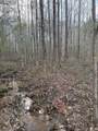 N/A Hwy 9 - Photo 14