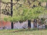 252 Cr 303(Old Taylor Road) - Photo 2