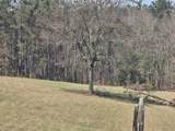 252 Cr 303(Old Taylor Road) - Photo 4