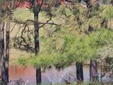 252 Cr 303(Old Taylor Road) - Photo 5