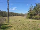 252 Cr 303(Old Taylor Road) - Photo 9