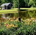 198 County Road 317 - Photo 28