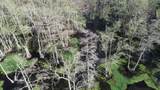 000 County Road 420 - Photo 1