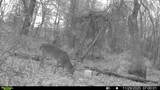 000 County Road 420 - Photo 6