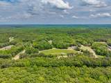 201 Fyne Cove - Photo 10