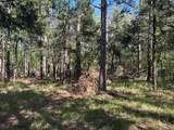00 Hobby Coop Road - Photo 1