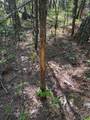 00 Hobby Coop Road - Photo 2