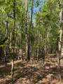 00 Hobby Coop Road - Photo 7