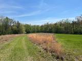 00 County Road 379 - Photo 17