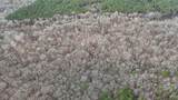 00 Cr 127 - Photo 12