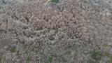 00 Cr 127 - Photo 32
