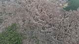 00 Cr 127 - Photo 4