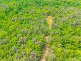 51.7 ac County Road 56 - Photo 20