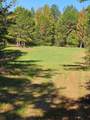 51.7 ac County Road 56 - Photo 22