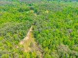 51.7 ac County Road 56 - Photo 25