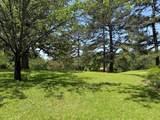 826 Blackmur Drive - Photo 41