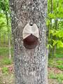 23 County Road 2220 - Photo 42