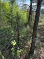 23 County Road 2220 - Photo 58