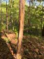 23 County Road 2220 - Photo 59