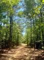 40 Acres Cr 450 & Cr 473 - Photo 10