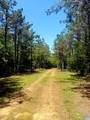 40 Acres Cr 450 & Cr 473 - Photo 17
