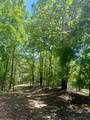 40 Acres Cr 450 & Cr 473 - Photo 18