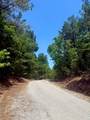 40 Acres Cr 450 & Cr 473 - Photo 20