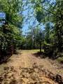 40 Acres Cr 450 & Cr 473 - Photo 4