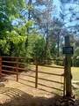 40 Acres Cr 450 & Cr 473 - Photo 5