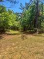 40 Acres Cr 450 & Cr 473 - Photo 6