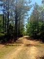 40 Acres Cr 450 & Cr 473 - Photo 9