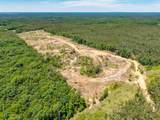 40 ac County Road 118 - Photo 11