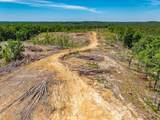 40 ac County Road 118 - Photo 13