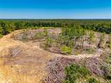 40 ac County Road 118 - Photo 14