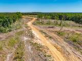 40 ac County Road 118 - Photo 17