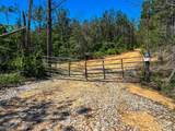 40 ac County Road 118 - Photo 2