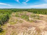 40 ac County Road 118 - Photo 22