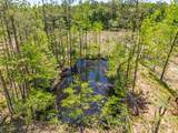 40 ac County Road 118 - Photo 25