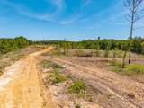 40 ac County Road 118 - Photo 28