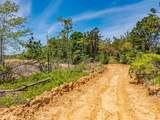 40 ac County Road 118 - Photo 29