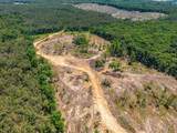 40 ac County Road 118 - Photo 4