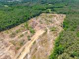 40 ac County Road 118 - Photo 5