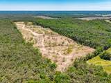 40 ac County Road 118 - Photo 6