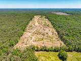 40 ac County Road 118 - Photo 7