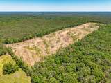 40 ac County Road 118 - Photo 8